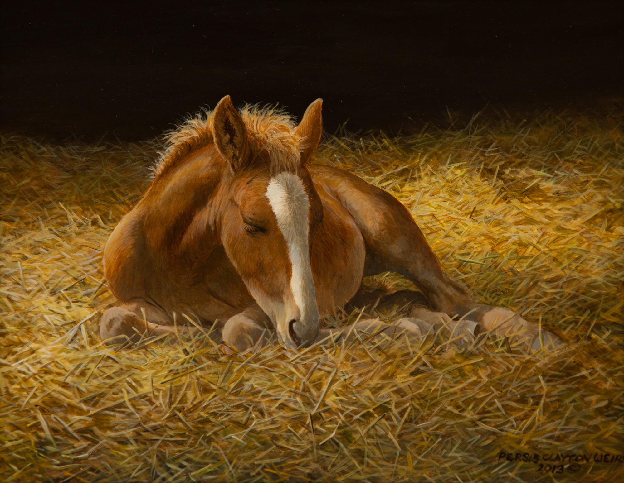 Sleepy Head, 2013