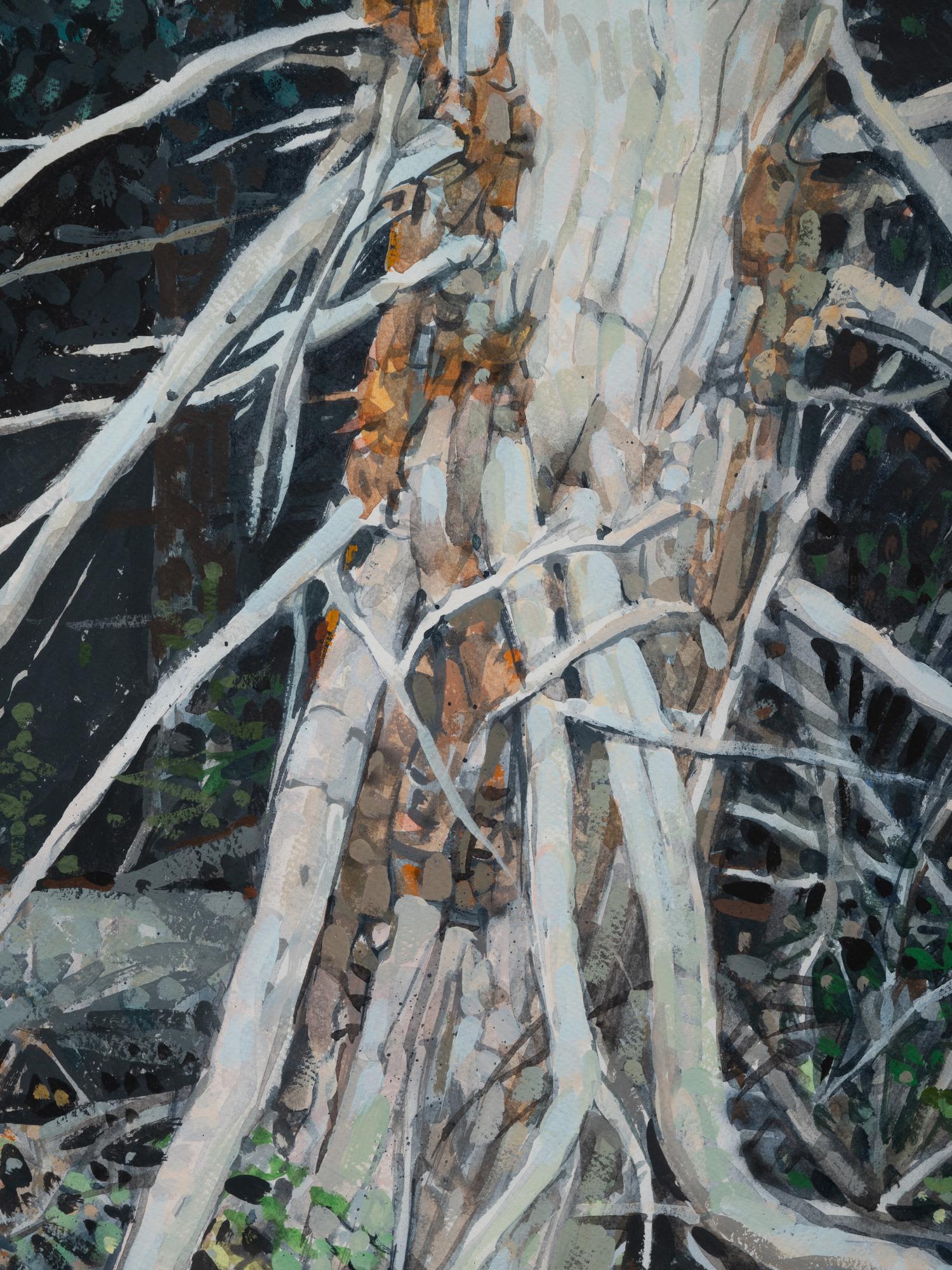 Bristle Cone Pines