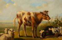 Cattle and Sheep Grazing , 1852