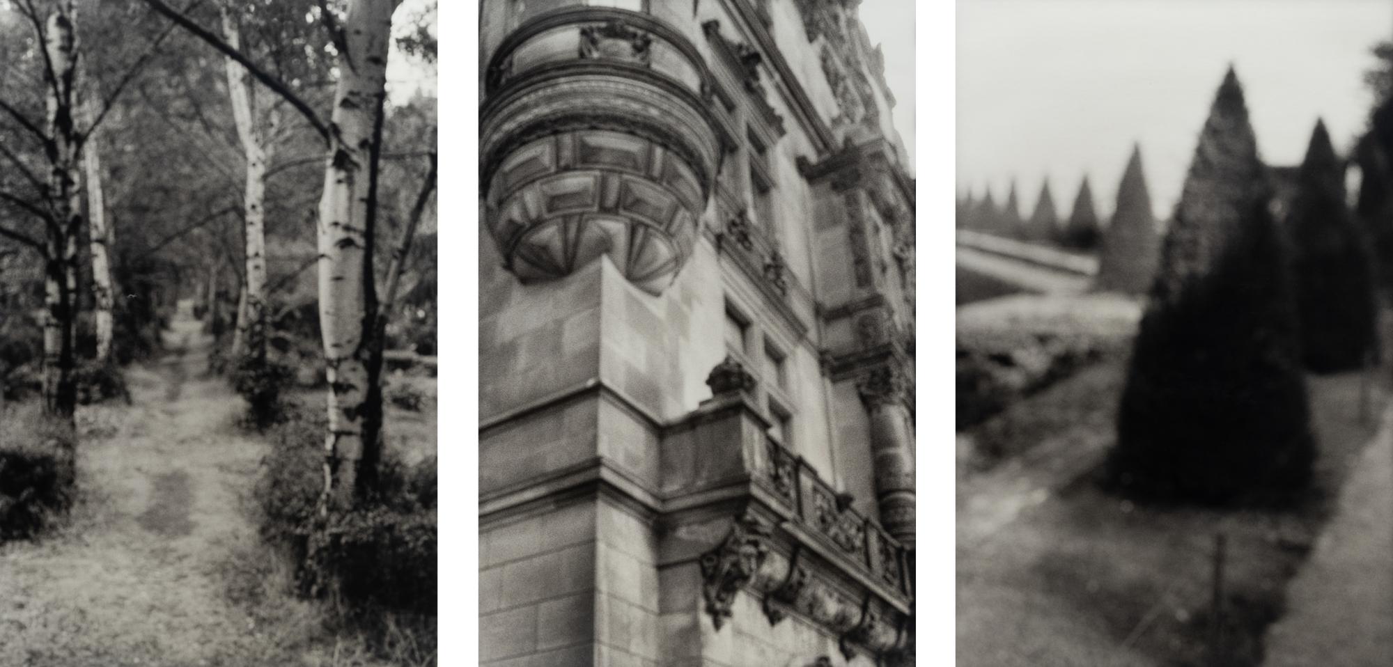 David Armstrong (1954-2014) Birches in Friedhof, Berlin; Shrubs at Versailles; and Building, Dresden, 1992-1993