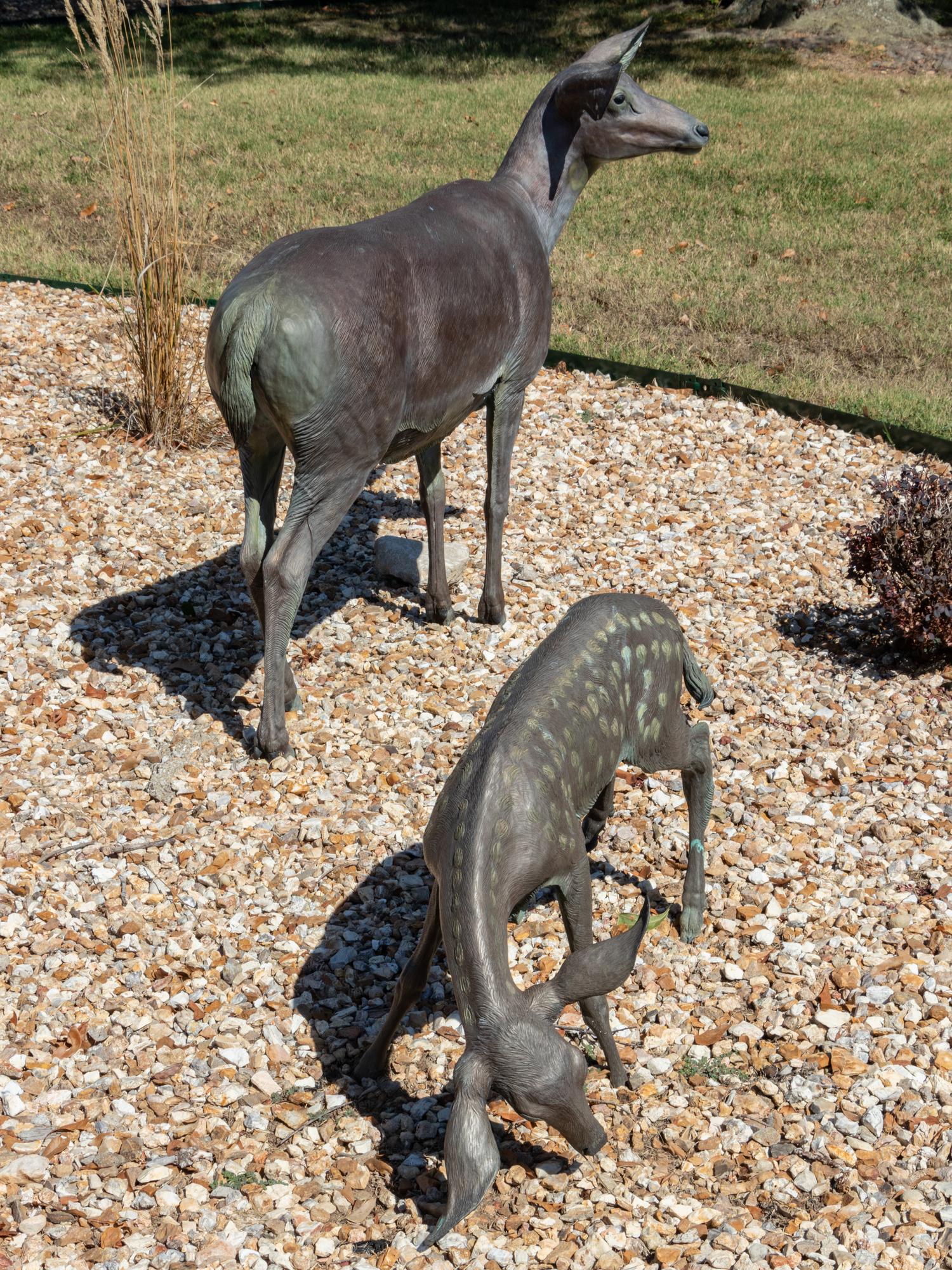 Springtime - Doe and Fawn