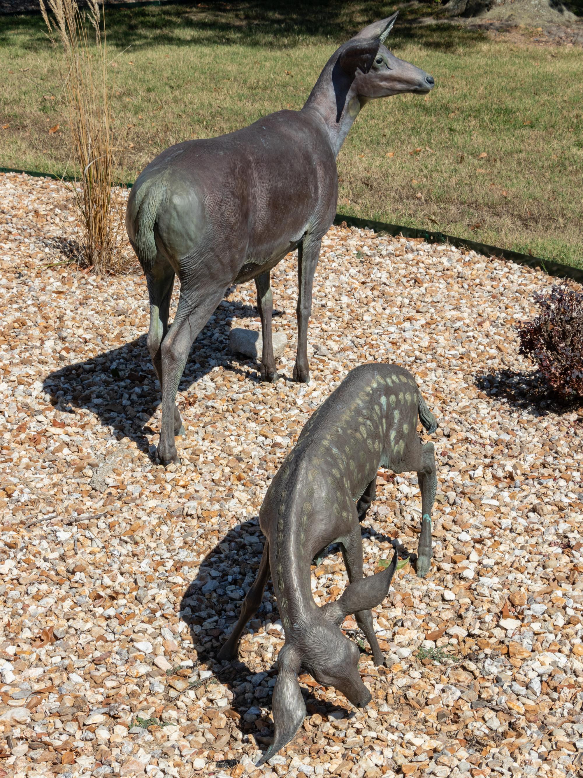 Springtime - Doe and Fawn