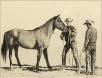 Bridling the Buckskin