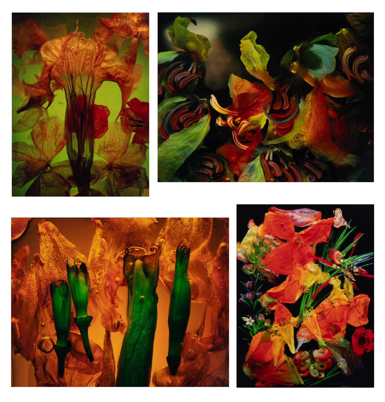 Floaters, Lune Ritual, Galaxy 1, and Standing Figure (a set of four works)