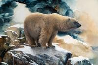 Nomad of the Ice