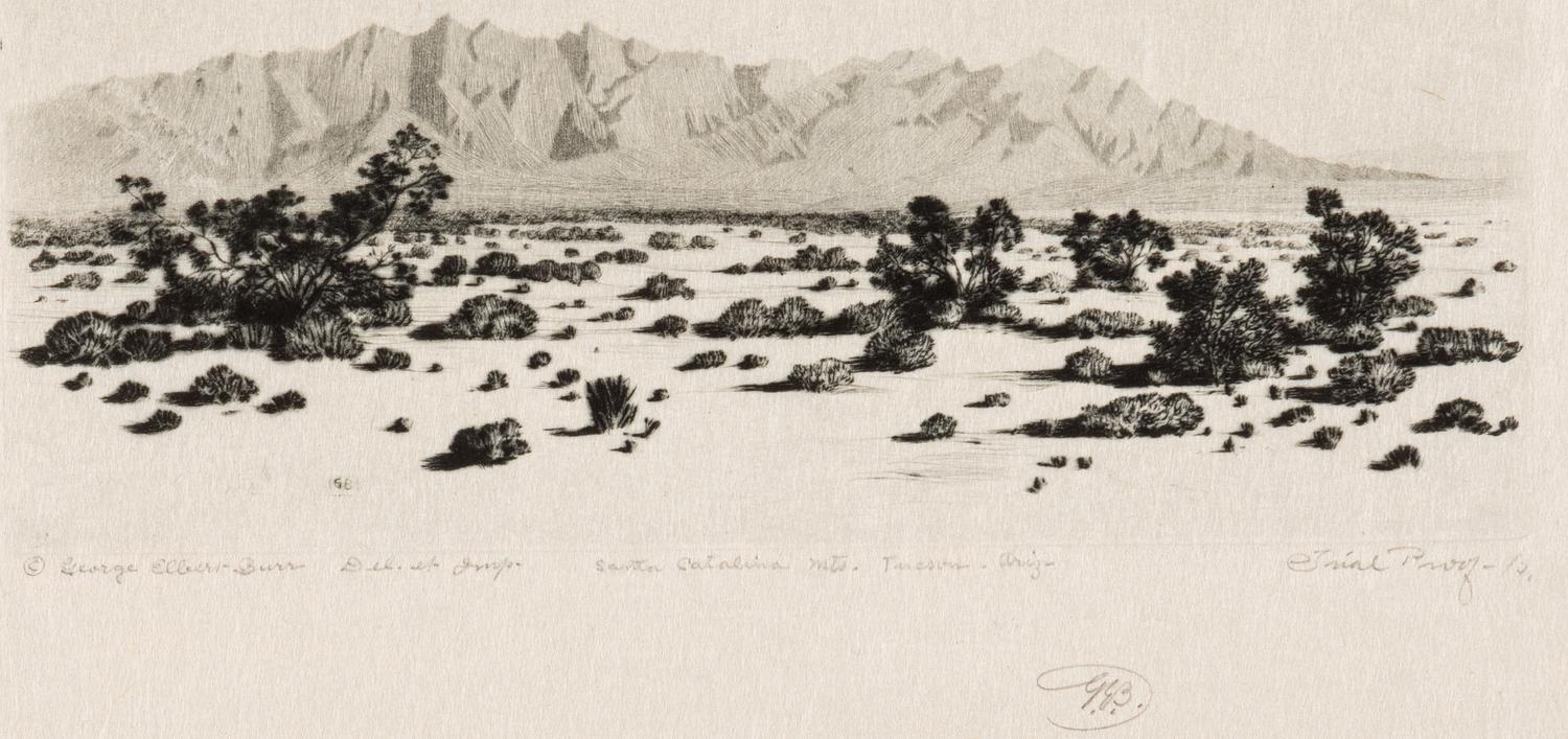 Two Works: Barrel Cactus, Arizona and Santa Catalina Mts, Tuscon, Arizona