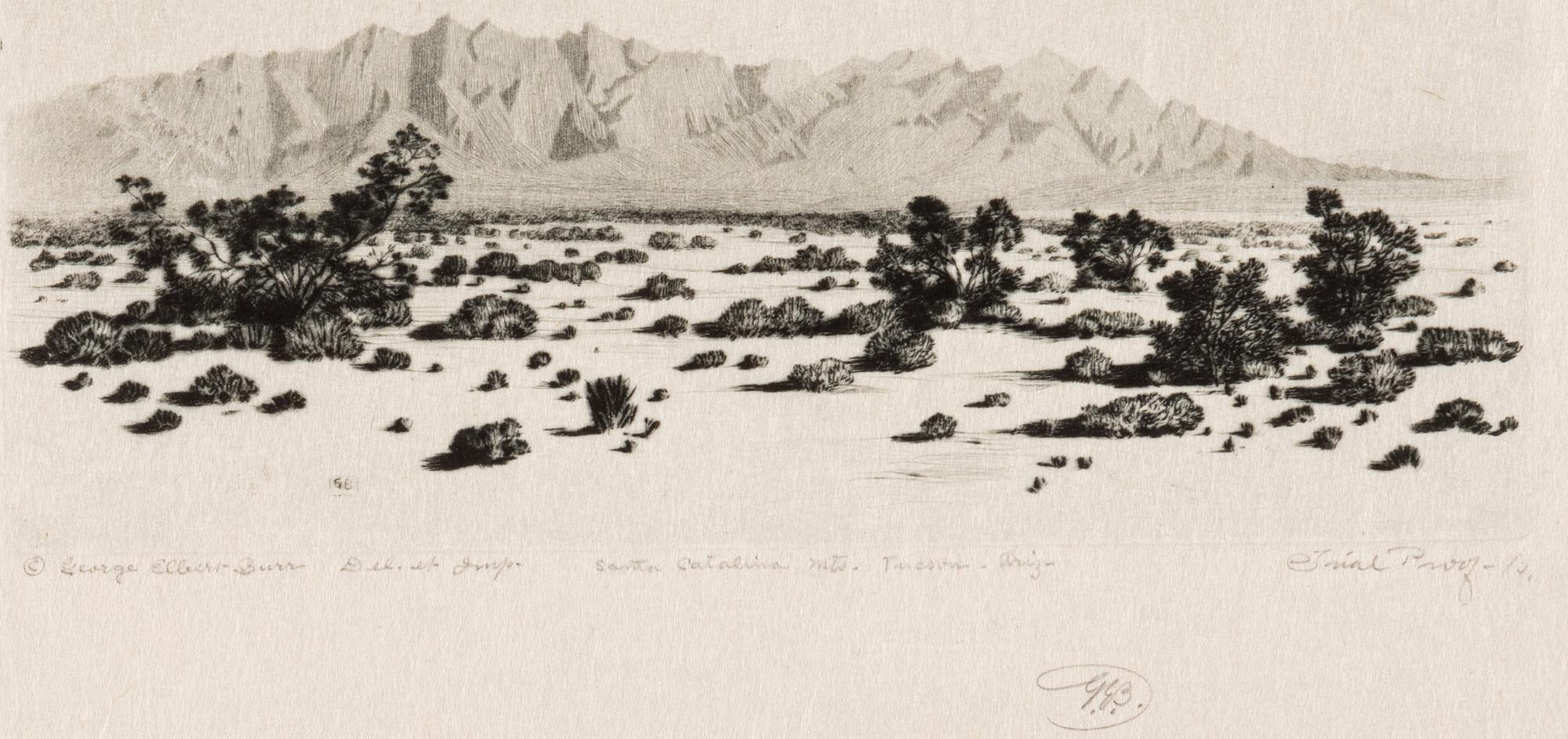 Two Works: Barrel Cactus, Arizona and Santa Catalina Mts, Tuscon, Arizona