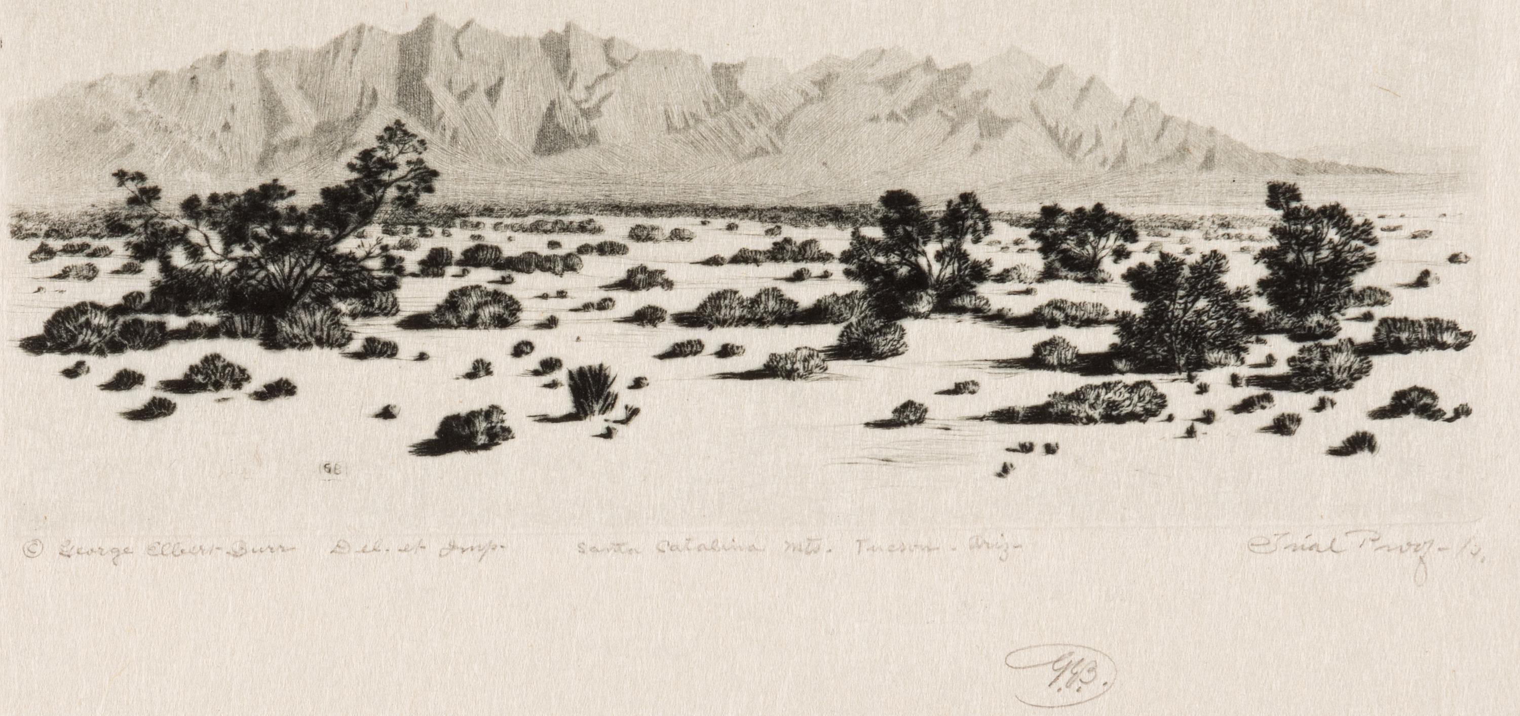 Two Works: Barrel Cactus, Arizona and Santa Catalina Mts, Tuscon, Arizona