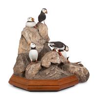 Atlantic Puffins , 1986
