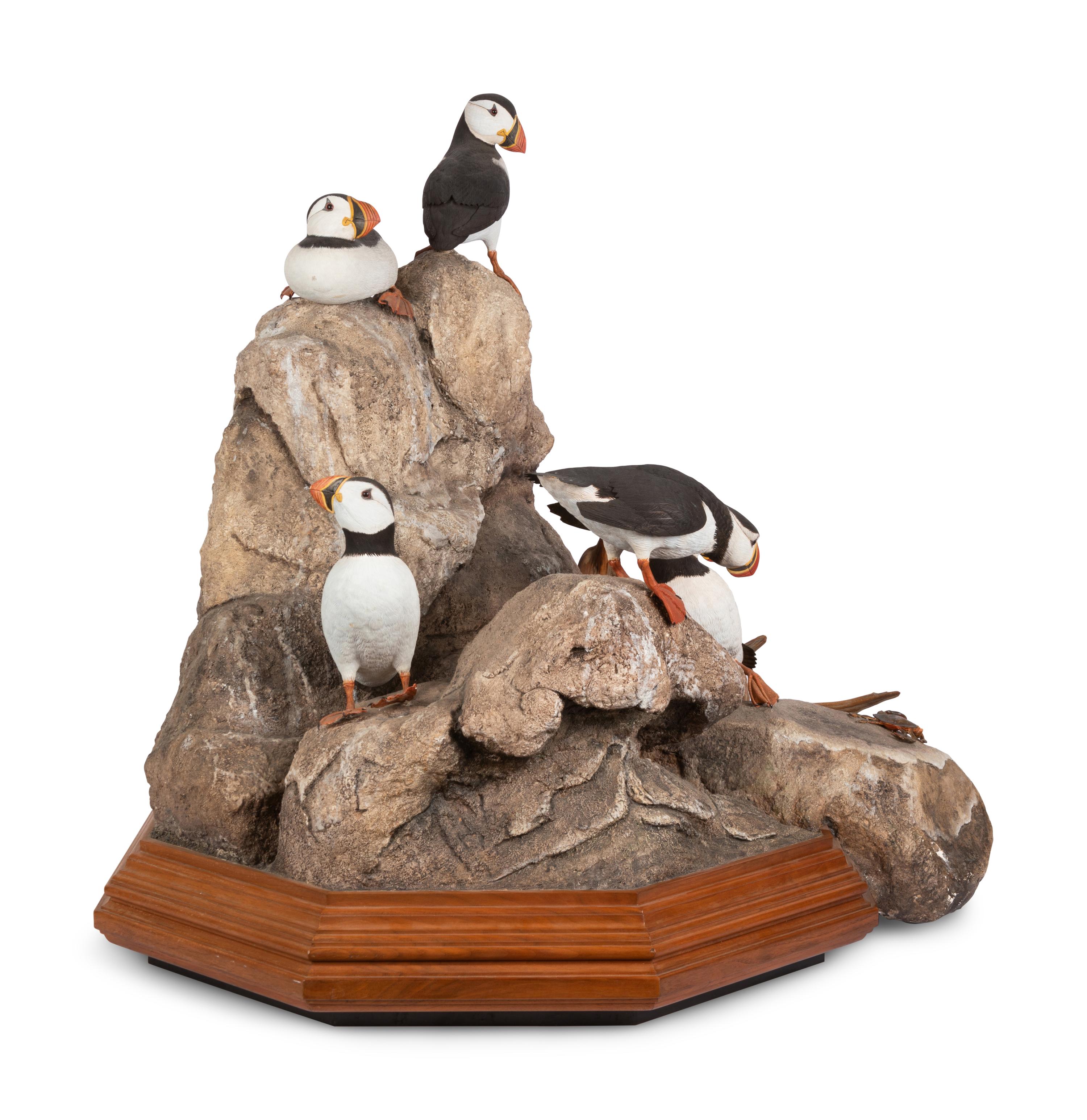 Atlantic Puffins , 1986