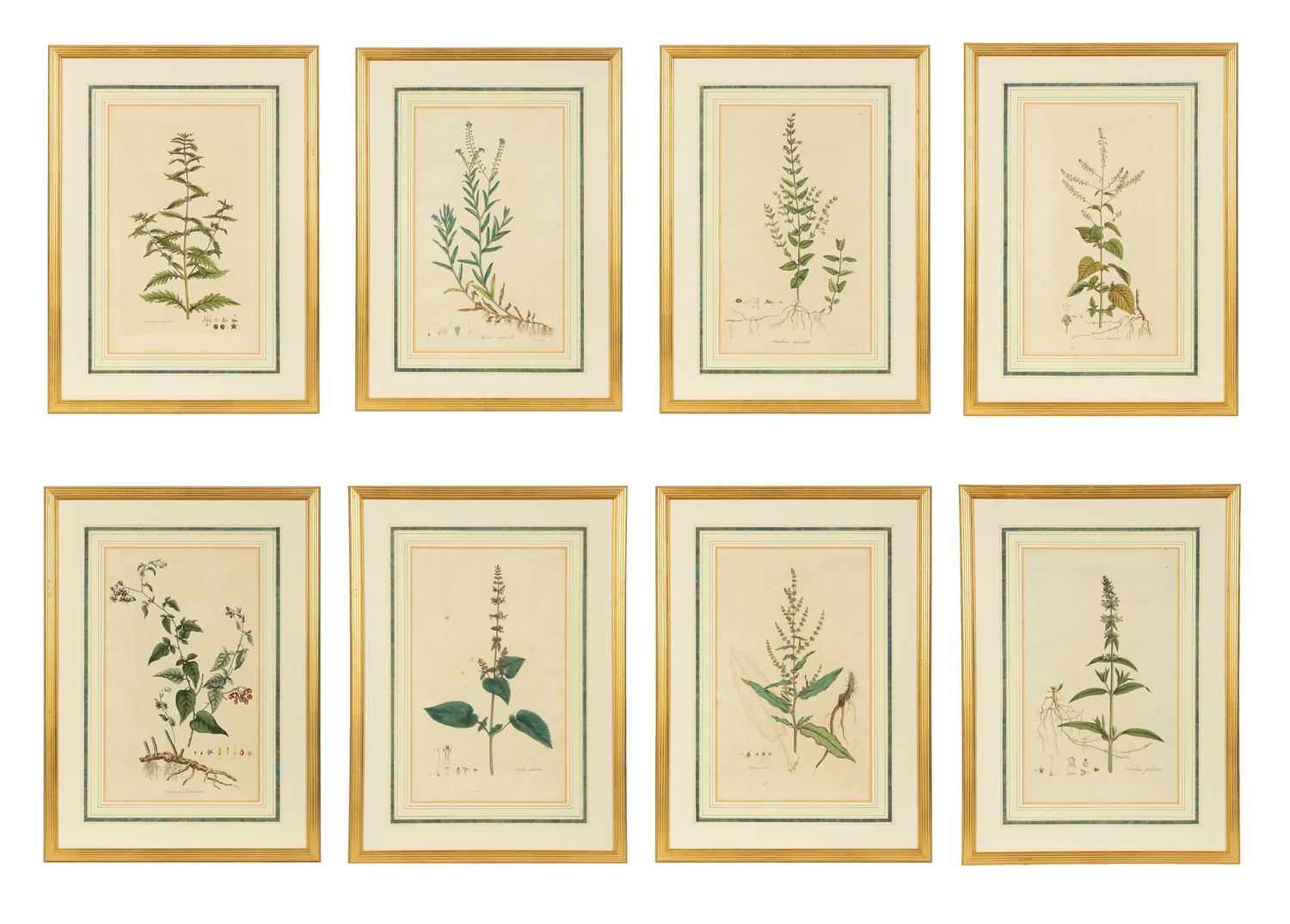 A Set of Eight Gilt Framed Hand Colored Botanical Etchings