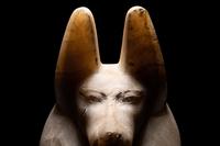 An Egyptian Alabaster Head of a Jackal