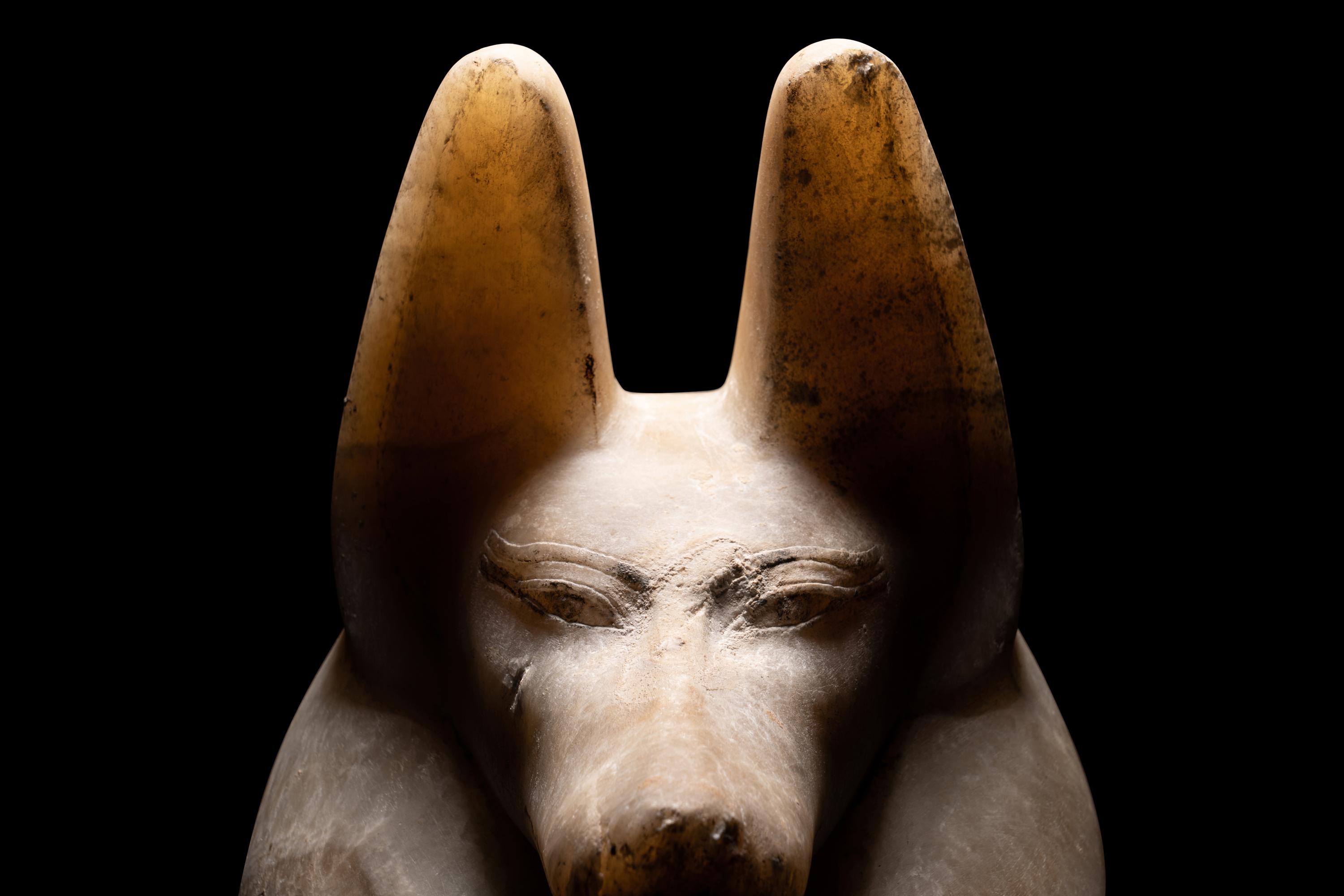 An Egyptian Alabaster Head of a Jackal