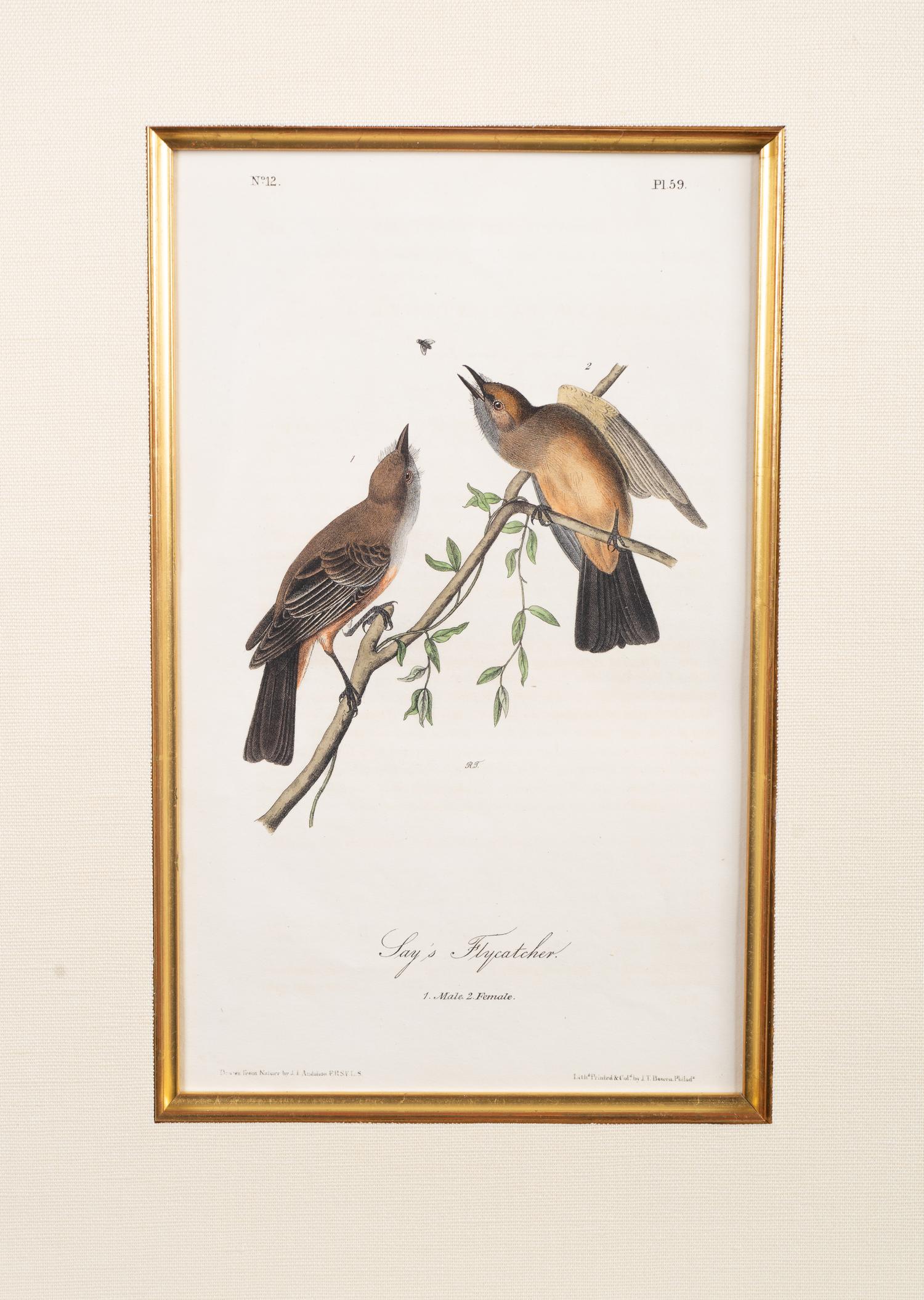 The Birds of America, Royal Octavo Edition, Bowen Edition