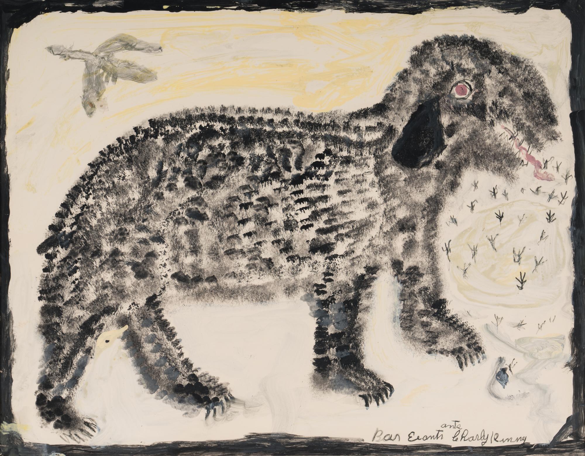 Bear Eating Ants