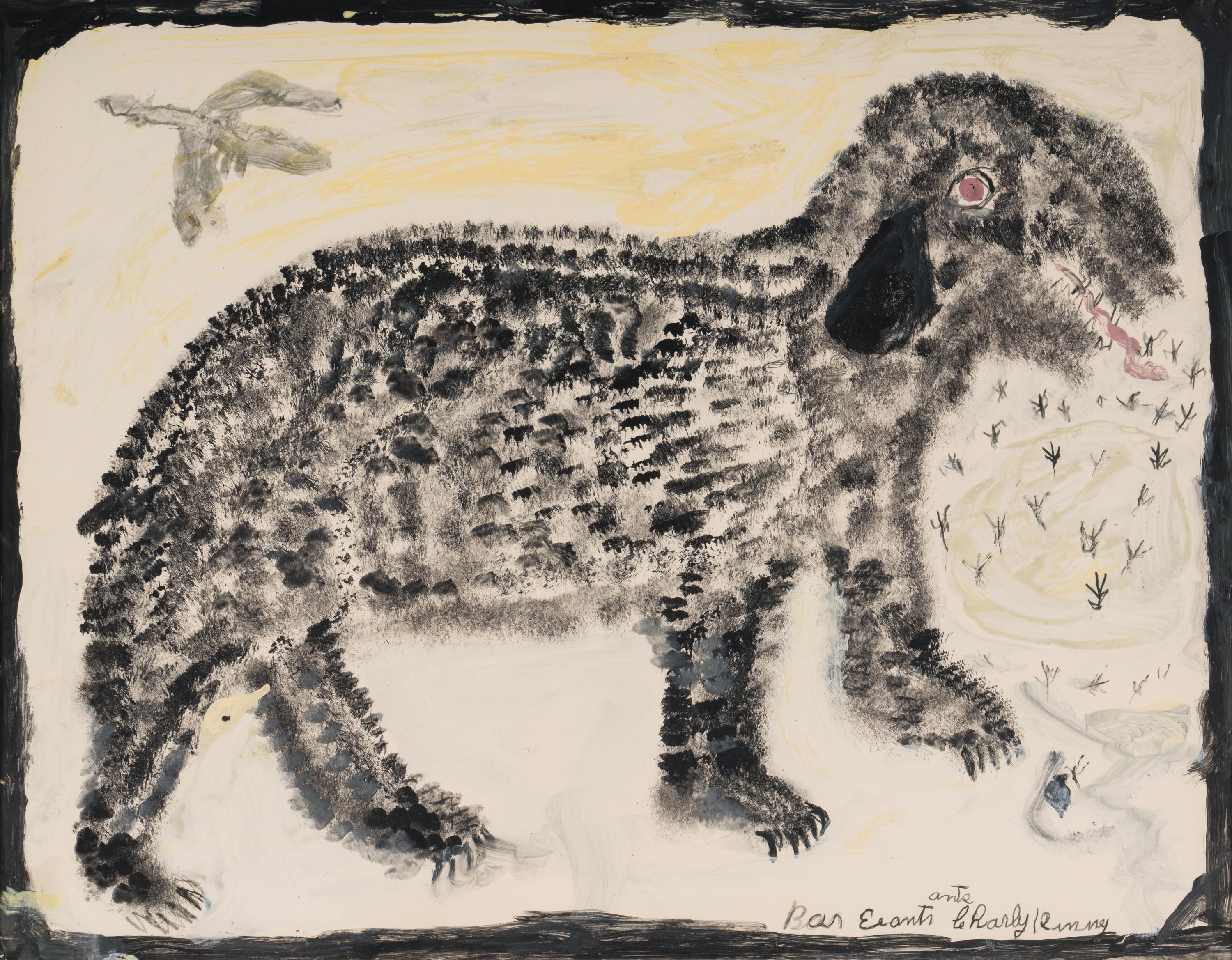 Bear Eating Ants