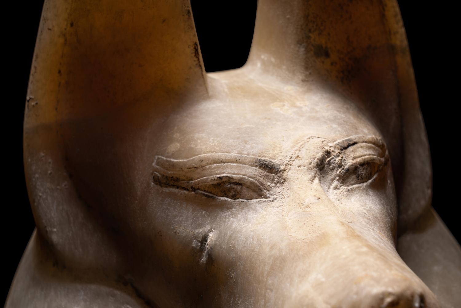 An Egyptian Alabaster Head of a Jackal