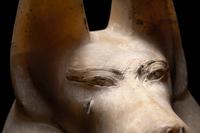 An Egyptian Alabaster Head of a Jackal