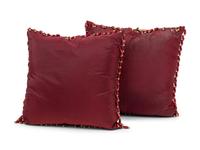A Pair of Silk Pillows