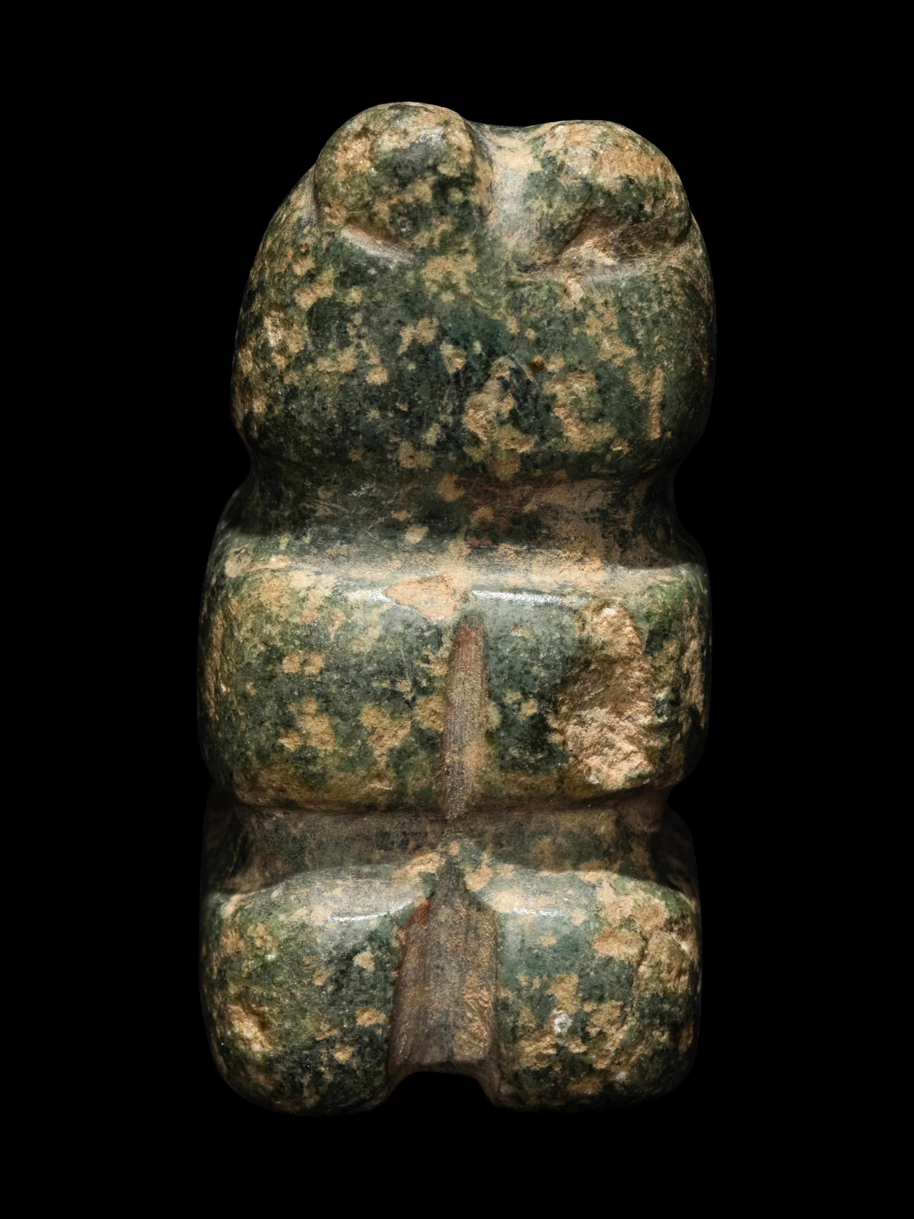 An Nicoya Serpentine Animal