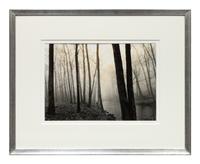 Redding Woods, Conn.