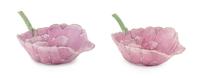 A Pair of Famille Rose Porcelain Libation Cups Width over stem 8 inches.