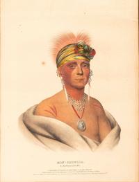 Three Hand-Colored Lithographs by McKenney and Hall