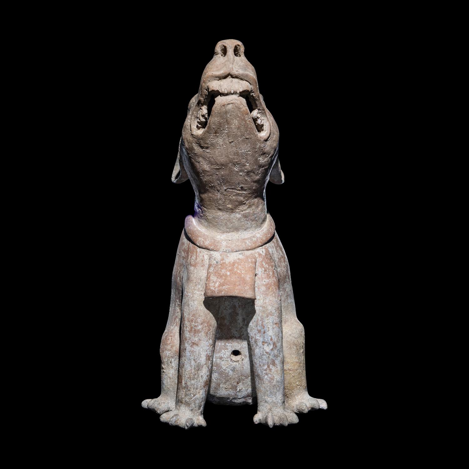 A Veracruz Terracotta Seated Paca