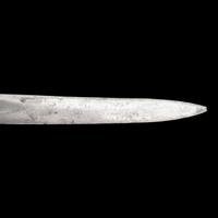 Archive of a Confederate Mobile-Made Etched Blade Staff & Field Officers Sword, Leech & Rigdon Two-Piece Belt Plate and Belt, Colt Navy and Holster likely of Capt. (Lt. Col.) R.H Shotwell