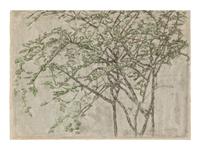 Tree Branches