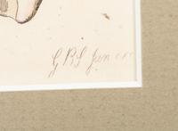 Thirteen Hand-Colored Shell Engravings
