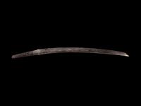 A Wakazashi