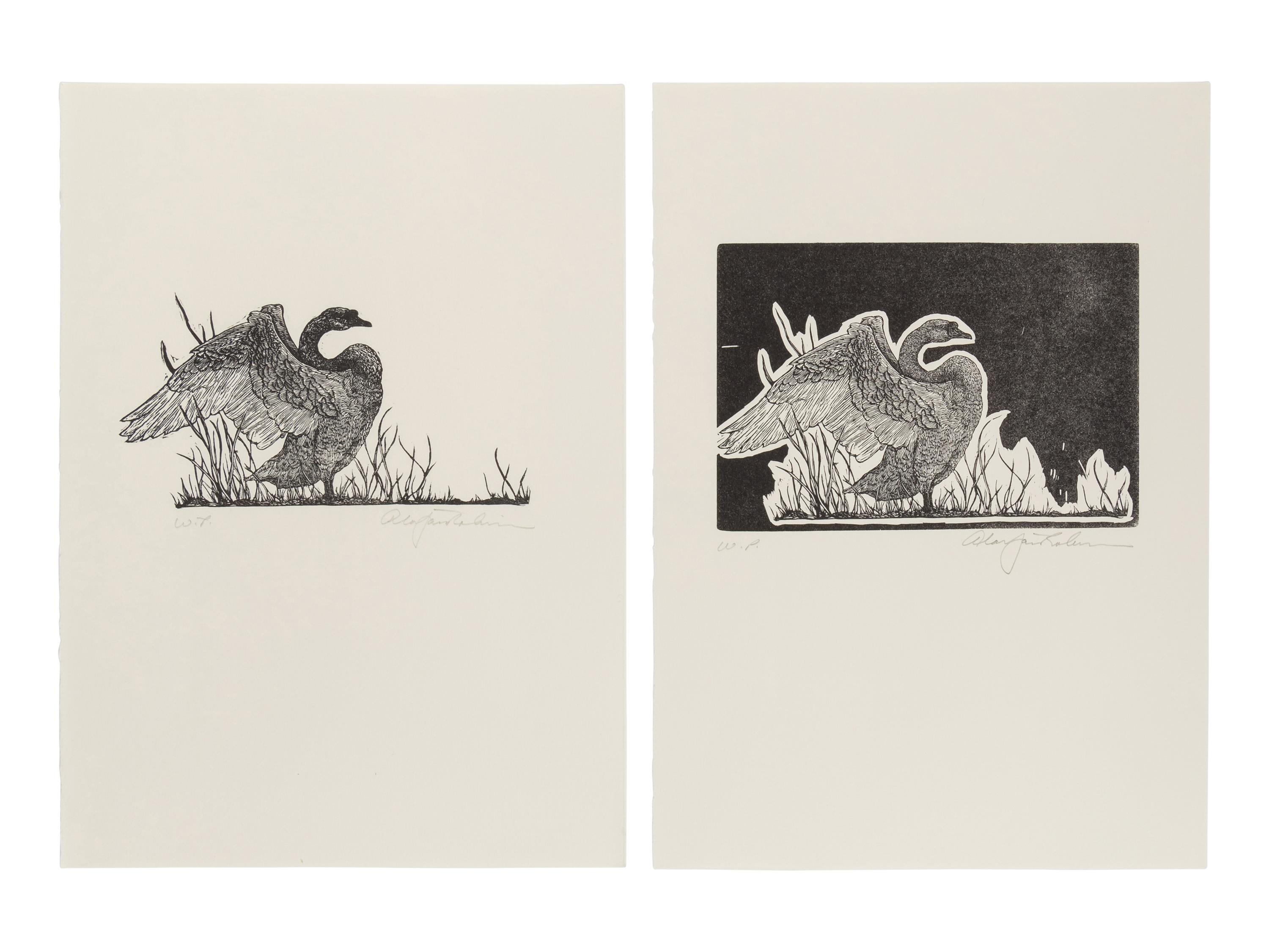 [CHELONIIDAE PRESS]. LOUYS, Pierre (1870-1925). Leda in Praise of the Blessings of Darkness . Alan James ROBINSON, illustrator. Easthampton, MA: Cheloniidae Press, 1985.