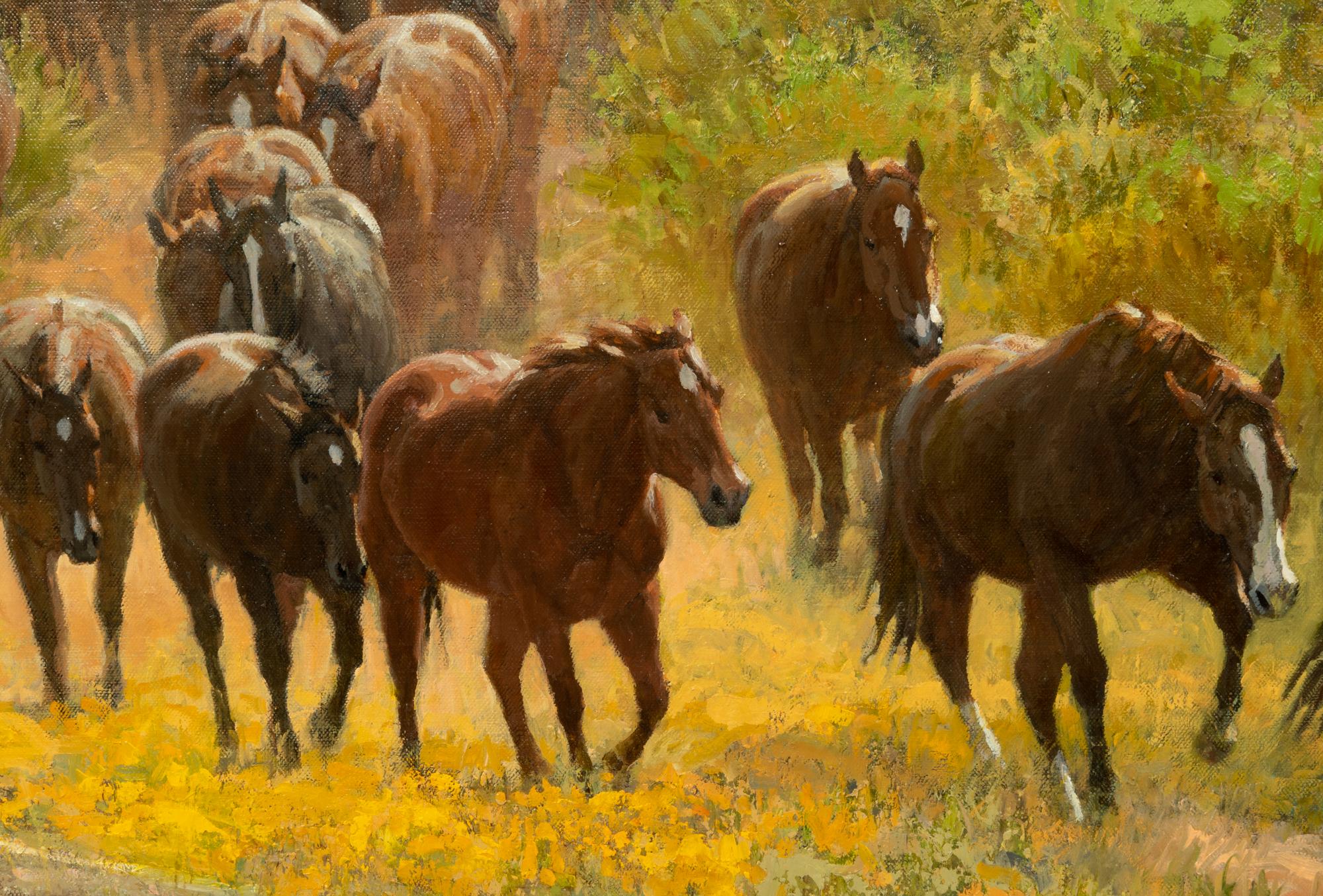 Up The Trail