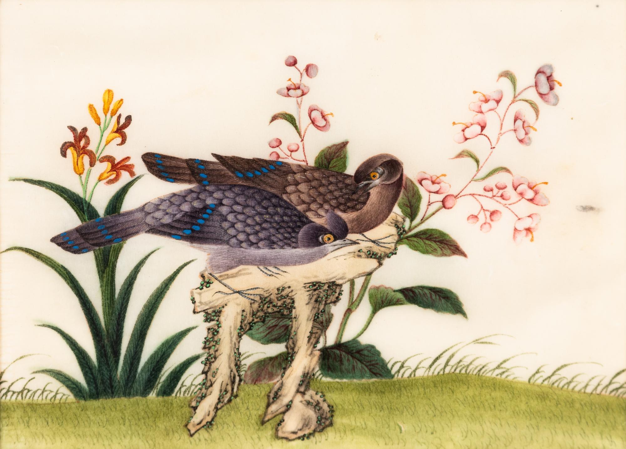 A Collection of Twelve Chinese Export Pith Paintings
