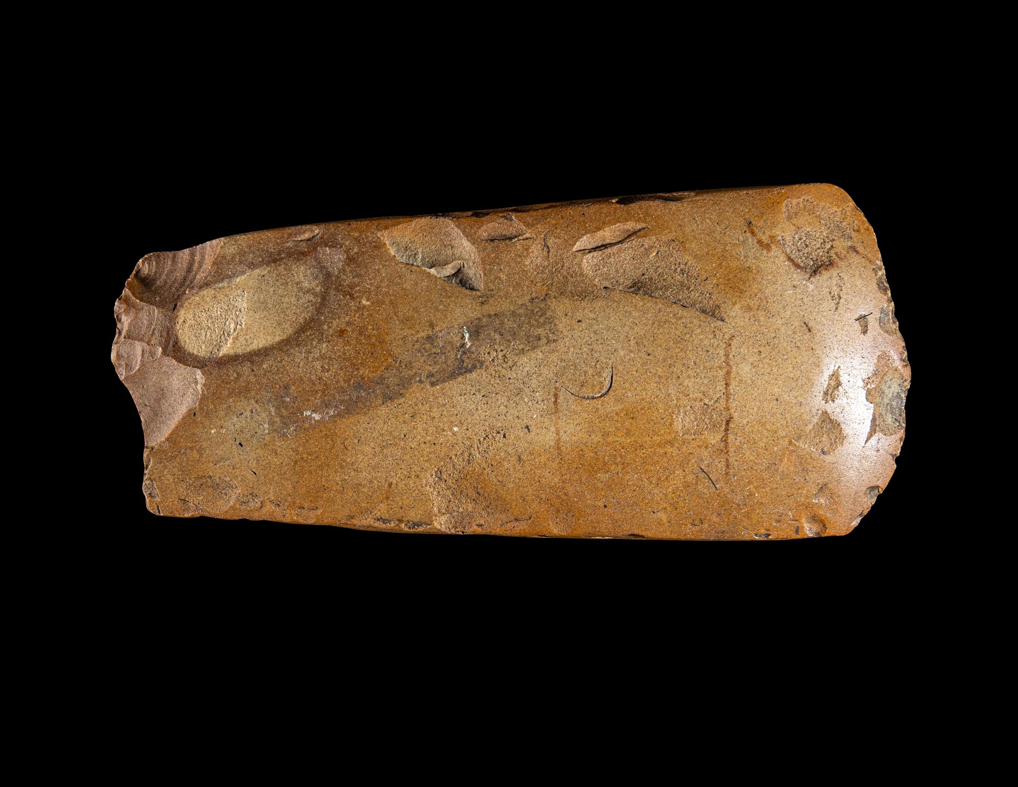 A Neolithic Flint Thin-Butted Axe
