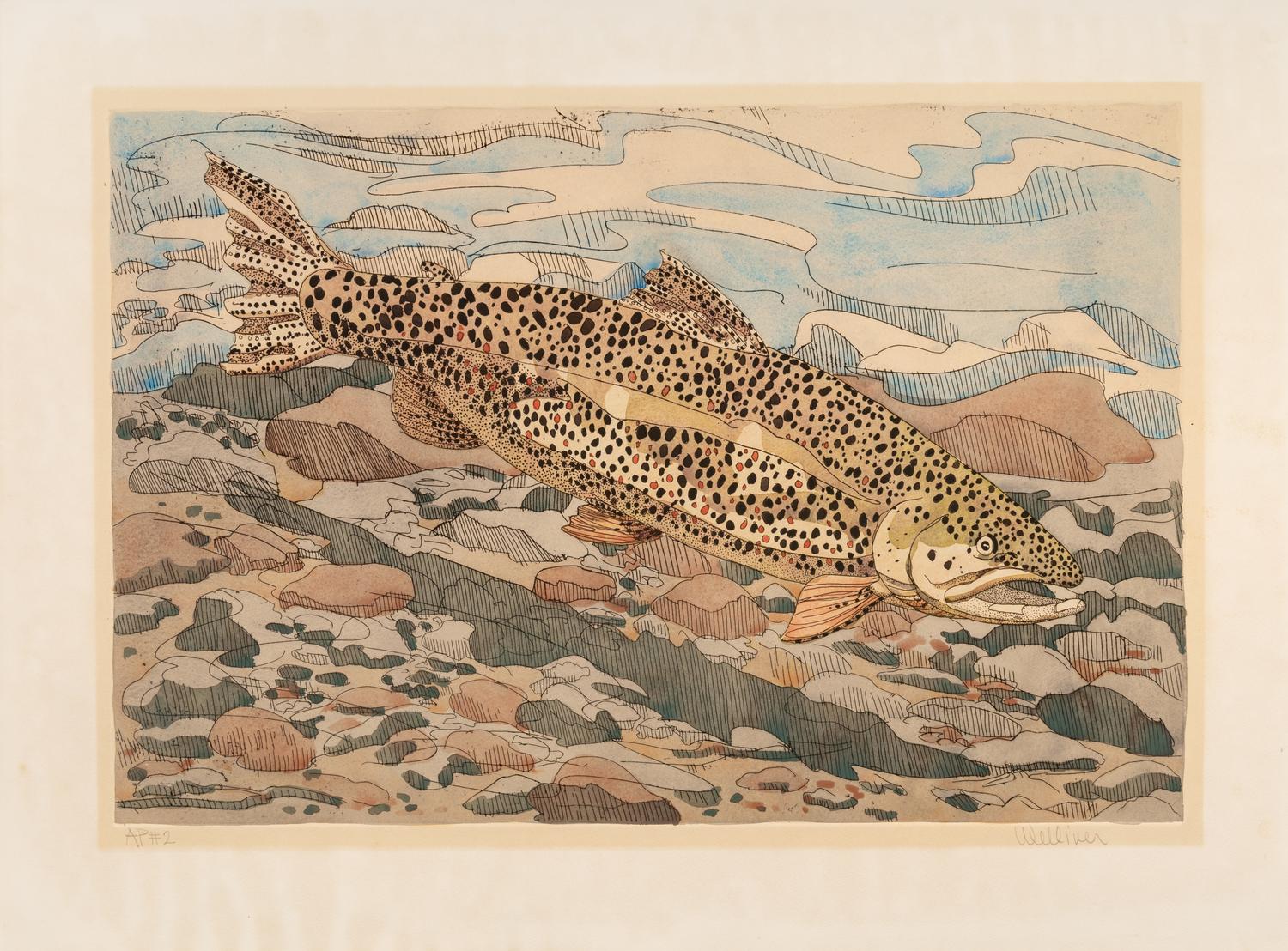 A Pair of Prints (Immature Great Blue Heron , 1978; Brown Trout, 1975)