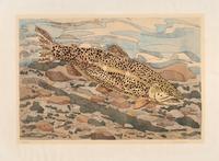A Pair of Prints (Immature Great Blue Heron , 1978; Brown Trout, 1975)