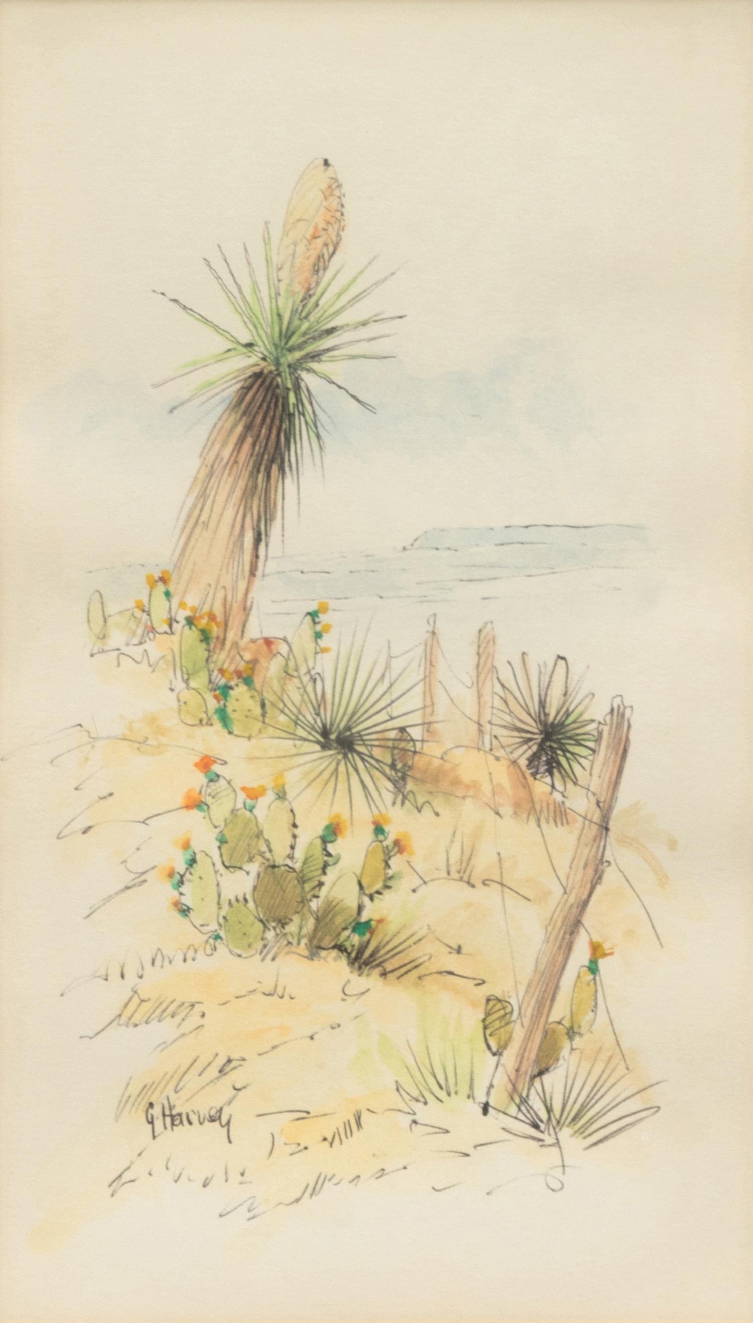 Yucca Country