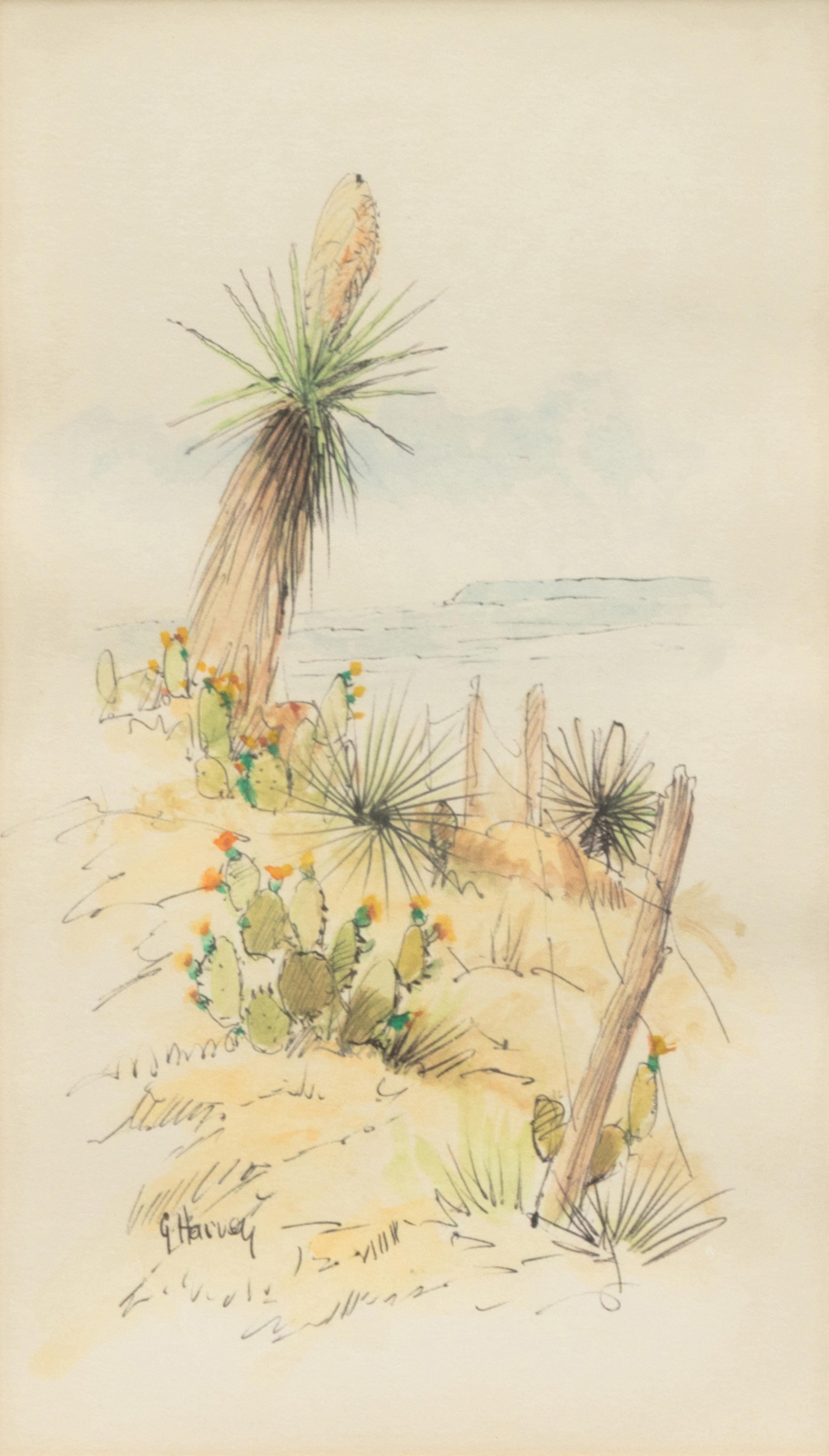 Yucca Country