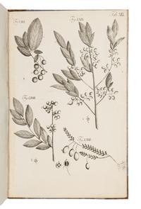 WANGENHEIM, Friedrich Adam Julius von (1749-1800). Beytrag zur teutschen holzgerechten Forstwissenschaft . Göttengen: J. C. Dieterich, 1787.