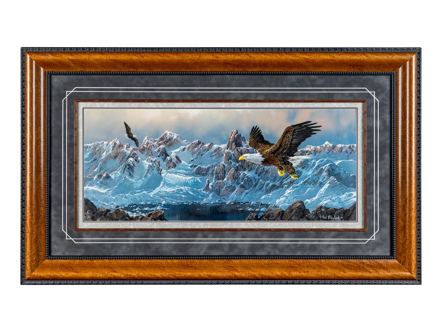 Eagles on Glacier Bay