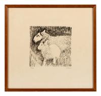 Sheep & Lamb