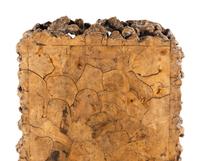 A Chinese Rootwood Low Table 天然木根雕矮桌