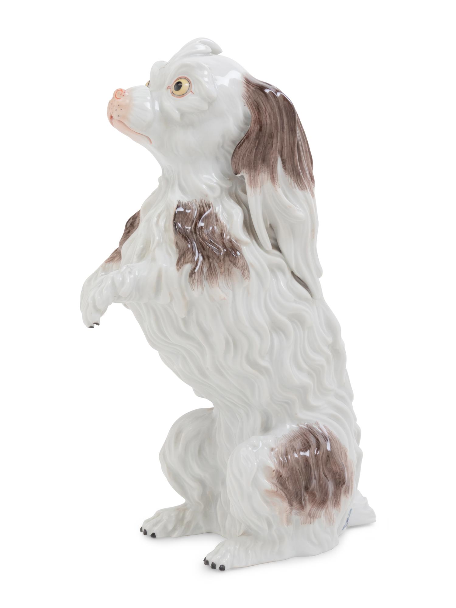 A Dresden Porcelain Bolognese Hound