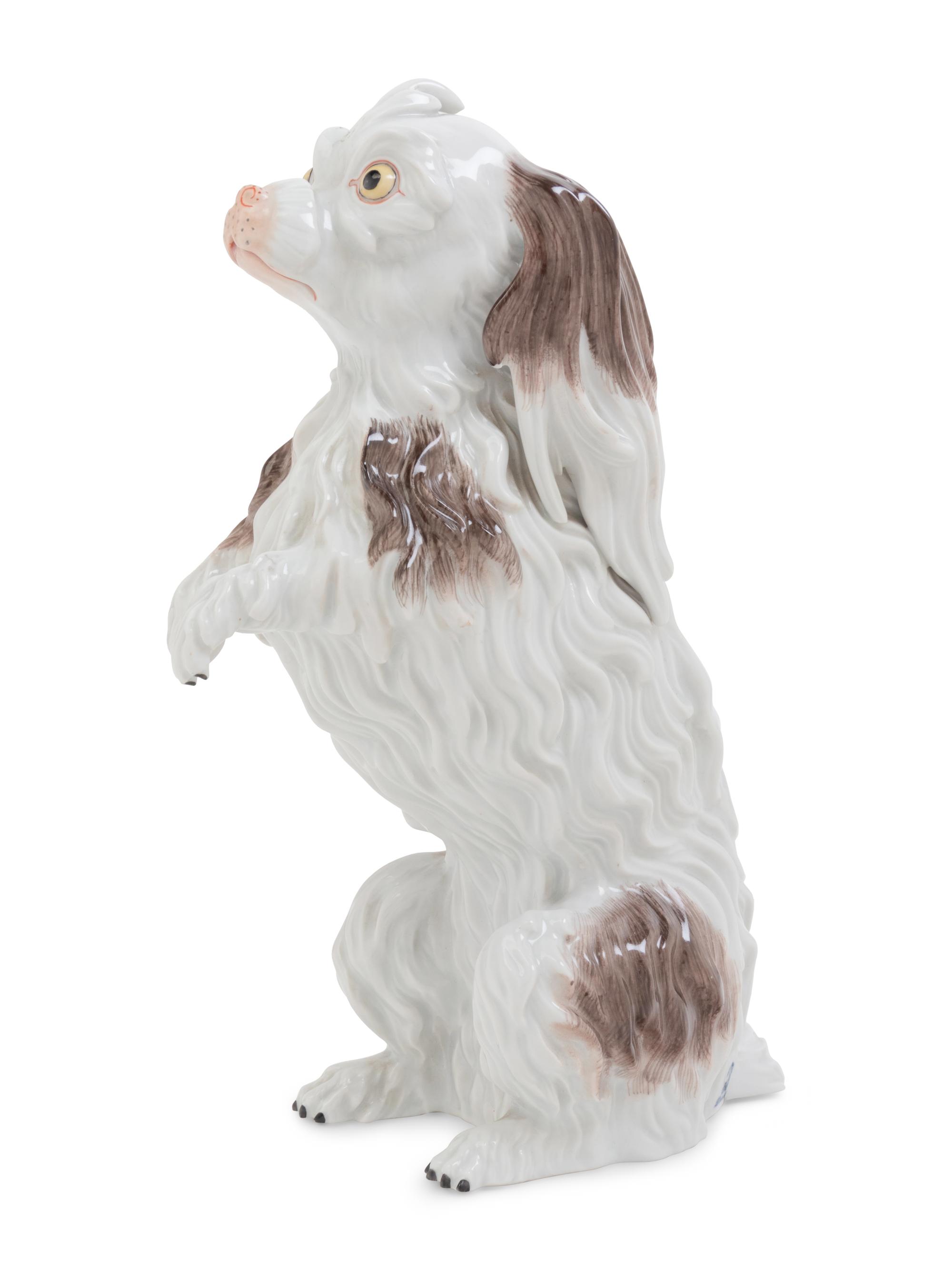 A Dresden Porcelain Bolognese Hound