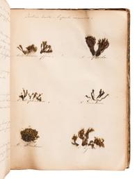 [SPECIMEN ALBUM - BRITISH MOSSES]. [PARNELL, William (1833-1906)]. "Preserved Specimens of British Mosses." [Dublin, ca 1850].