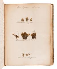[SPECIMEN ALBUM - BRITISH MOSSES]. [PARNELL, William (1833-1906)]. "Preserved Specimens of British Mosses." [Dublin, ca 1850].