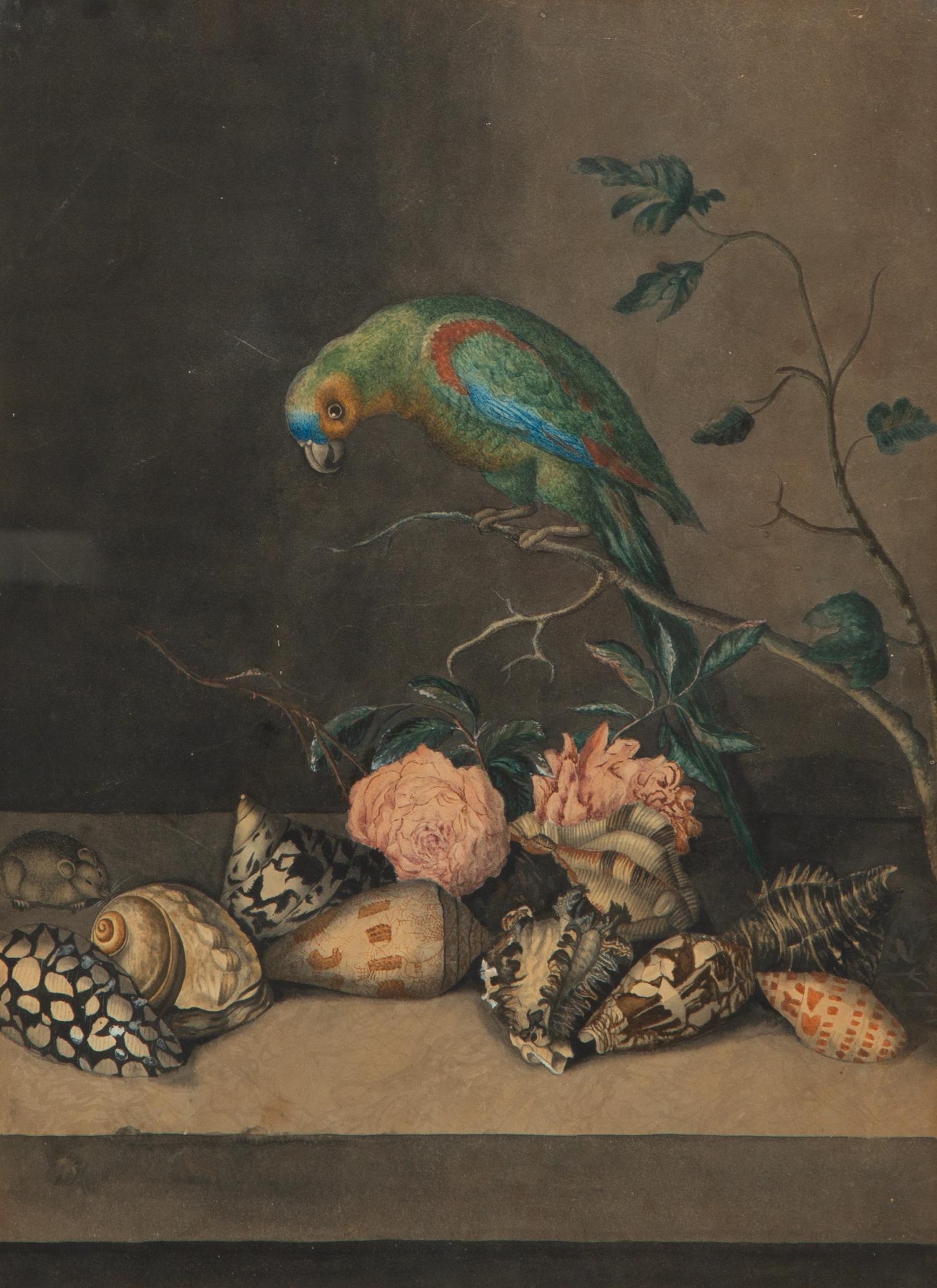 A Parrot with Shells and Roses