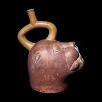 A Moche Sea Lion Effigy Vessel